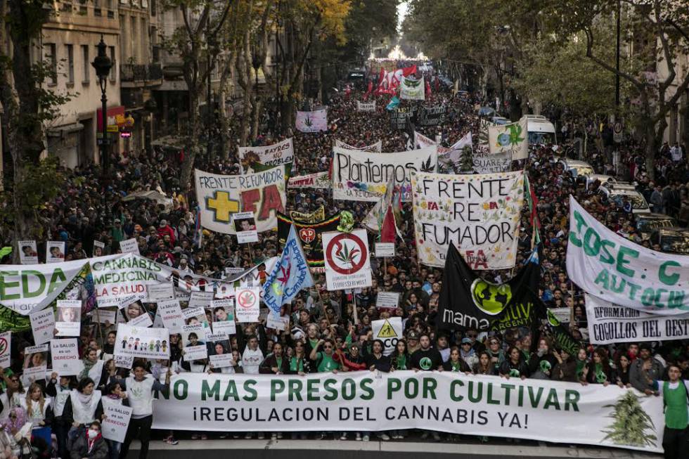Marcha cannabis medicinal Buenos Aires